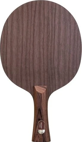 Stiga Destiny Carbon Master Holz