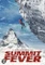 Summit Fever Vorschaubild