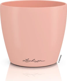 Lechuza Classico Color Deco 12 magnolie