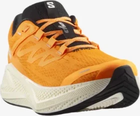 Salomon Aero Glide 3 tumeric/white/black (Herren)