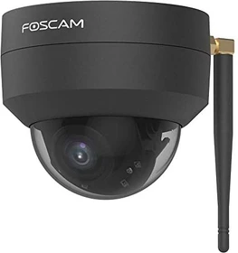 Foscam D4Z PTZ Dome schwarz