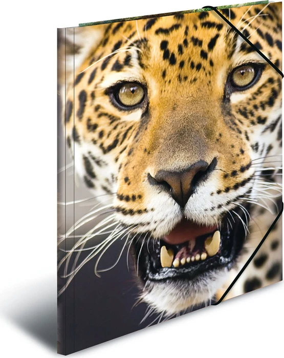 Herma Sammelmappe, A4, Tiermotiv Leopard