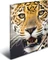Herma Sammelmappe, A4, Tiermotiv Leopard Vorschaubild