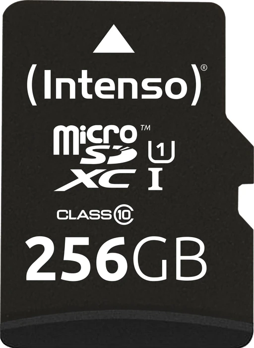 Intenso Premium R45 256GB Kit, UHS-I U1, Class 10