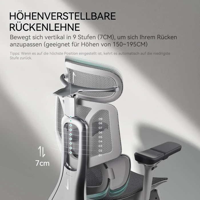 Hbada E3 Pro Ergonomischer Bürostuhl mit Fußstütze, grau/weiß