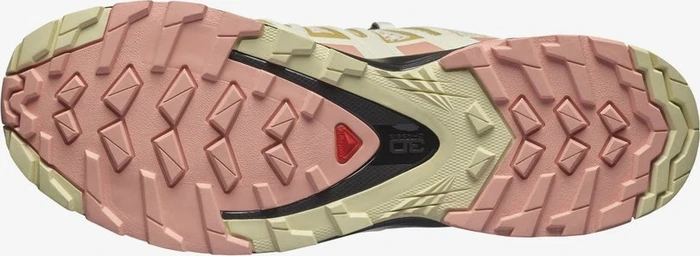 Salomon XA Pro 3D V8 frozen dew/blooming dahlia/vanilla ice (Damen)