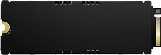 Acer Predator GM9000 Heatsink SSD 1TB, M.2 2280 / M-Key / PCIe 5.0 x4, Kühlkörper
