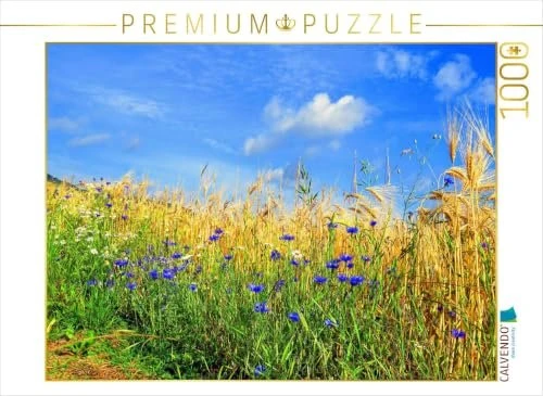 Calvendo Ein Motiv aus dem Kalender Kornblumen - Blaue Schönheiten