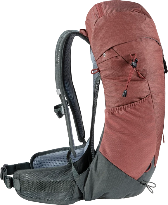Deuter AC Lite 24 redwood/ivy