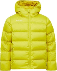 Mammut Waymarker IN Funktionsjacke acacia (Junior)