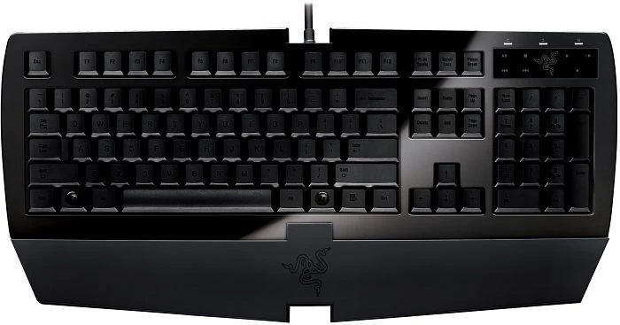 Razer Arctosa schwarz, USB, PL