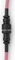 Glorious Coiled Cable USB-C auf USB-A, Tastaturkabel (Spiral-Textilkabel), 1.37m, Prism Pink Vorschaubild