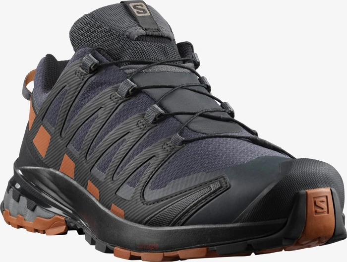 Salomon XA Pro 3D V8 GTX ebony/caramel cafe/black (Herren)