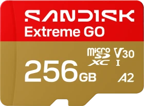 SanDisk Extreme GO R240/W160 256GB, UHS-I U1, A2, Class 10