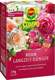 pusteblume künstlich groß Pusteblume Löwenzahn Dandelion Blume künstlich in verschiedenen Farben –  Highlightyourphoto