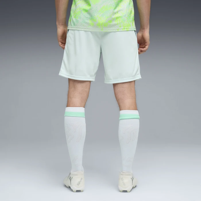 Puma FIFA WM 2026 Schweiz Auswärtsshorts sea glass/dark indigo (Herren)