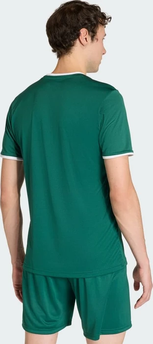 adidas Entrada 26 Trikot kurzarm team dark green/white (Herren)