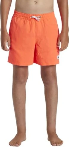 Quiksilver Everyday Solid 14" Badeshorts (Junior)