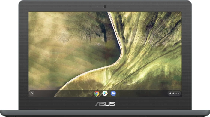 ASUS Chromebook C204MA-GJ0114, Dark Grey, Celeron N4000, 4GB RAM, 32GB Flash, DE