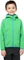 Jack Wolfskin Fourwinds Funktionsjacke lizard (Junior) Vorschaubild