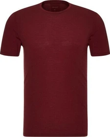 Icebreaker Anatomica Crewe Funktionsshirt kurzarm cabernet (Herren)