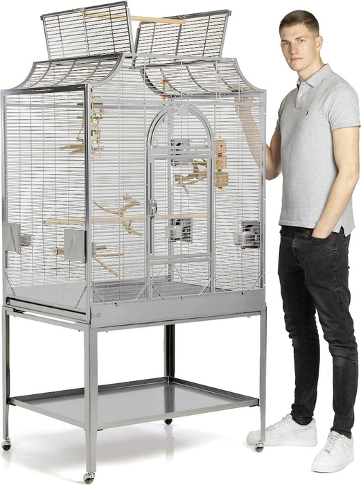 Wagner's Montana Cages Madeira III