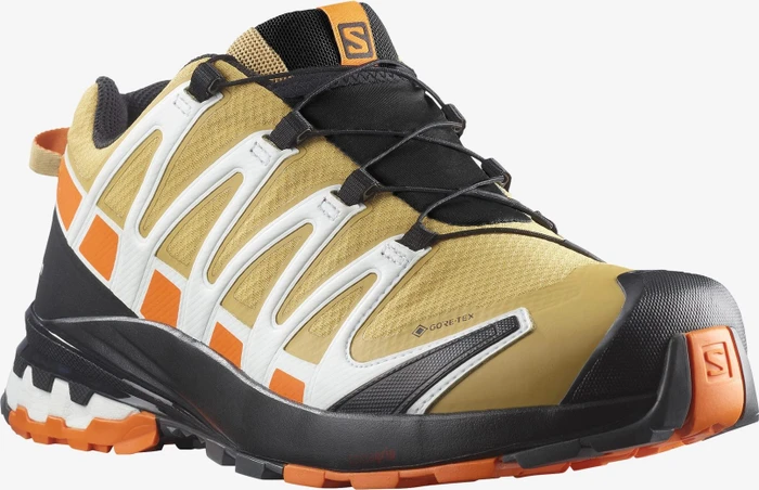Salomon XA Pro 3D V8 GTX fall leaf/vibrant orange/white (Herren)