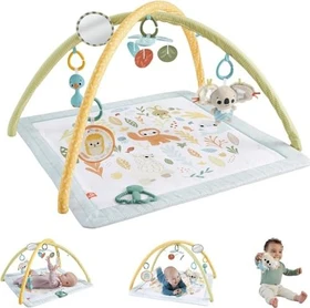 Mattel Fisher-Price Simply Senses Newborn Gym