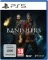 Banishers: Ghosts of New Eden (PS5) Vorschaubild