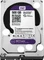 Western Digital WD Purple 500GB, 24/7, 512e / 3.5" / SATA 6Gb/s Vorschaubild