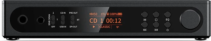 FiiO DM15 R2R schwarz