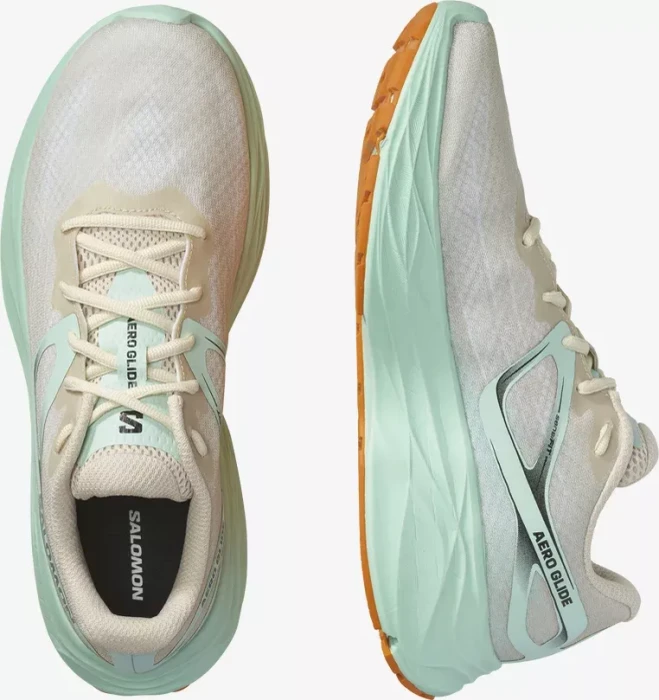 Salomon Aero Glide (Herren)