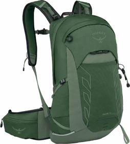 Osprey Talon 22 green canopy (Herren)