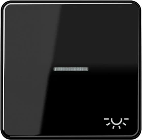 Jung Serie CD Wippe Duroplast mit Symbol "Licht" und Lichtleiter, schwarz