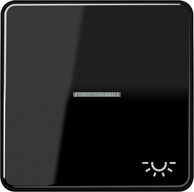 Jung Serie CD Wippe Duroplast mit Symbol "Licht" und Lichtleiter, schwarz