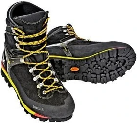 Salewa Blackbird Insulated GTX (Damen)