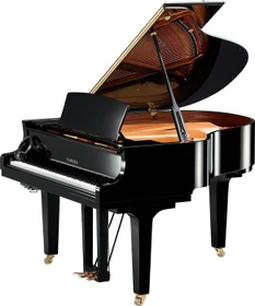 Yamaha C1X SH (verschiedene Farben)