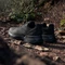 adidas Terrex Soulstride Rain.RDY core black/carbon/grey six (Herren) Vorschaubild