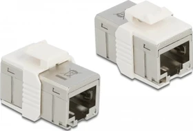 DeLOCK Adapter Modul RJ-45 Buchse via RJ-45 Buchse Cat6a