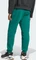 adidas New adidas Z.N.E. Trainingshose lang collegiate green (Herren) Vorschaubild