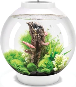 Oase biOrb Classic 30 LED Aquarium weiß