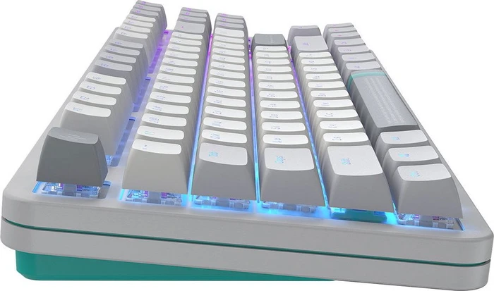 Dark Project ALU87A Daylight Gaming Keyboard, weiß/grau, LEDs RGB, g3ms Zircon Speed, USB, US