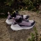 adidas Terrex Free Hiker 2.0 Low GTX preloved fig/silver dawn/aurora black (Damen) Vorschaubild