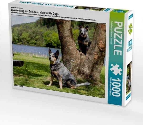 Calvendo Ein Motiv aus dem Kalender Spaziergang am See Australian Cattle Dogs