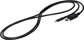 Eizo USB-C [Stecker] auf DisplayPort [Stecker] Kabel schwarz, 2m (CP200-BK)