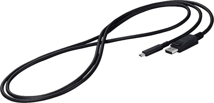 Eizo USB-C [Stecker] auf DisplayPort [Stecker] Kabel schwarz, 2m
