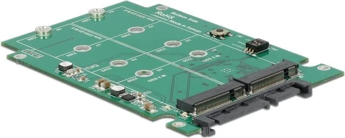 DeLOCK SATA -> M.2 SATA