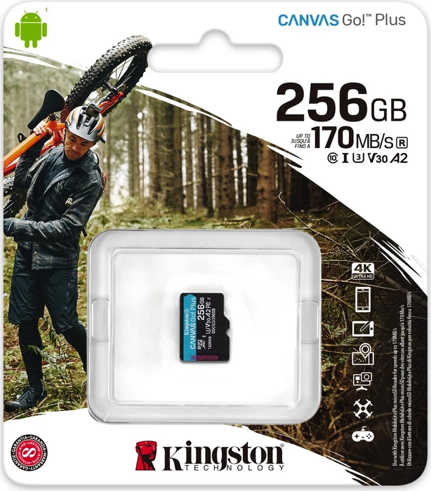Kingston Canvas Go! Plus R170/W90 256GB, UHS-I U3, A2, Class 10