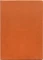 PocketBook Magnetic Folio Cover für InkPad One, dark orange Vorschaubild