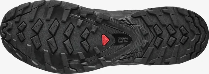 Salomon XA Pro 3D V8 GTX schwarz (Herren)